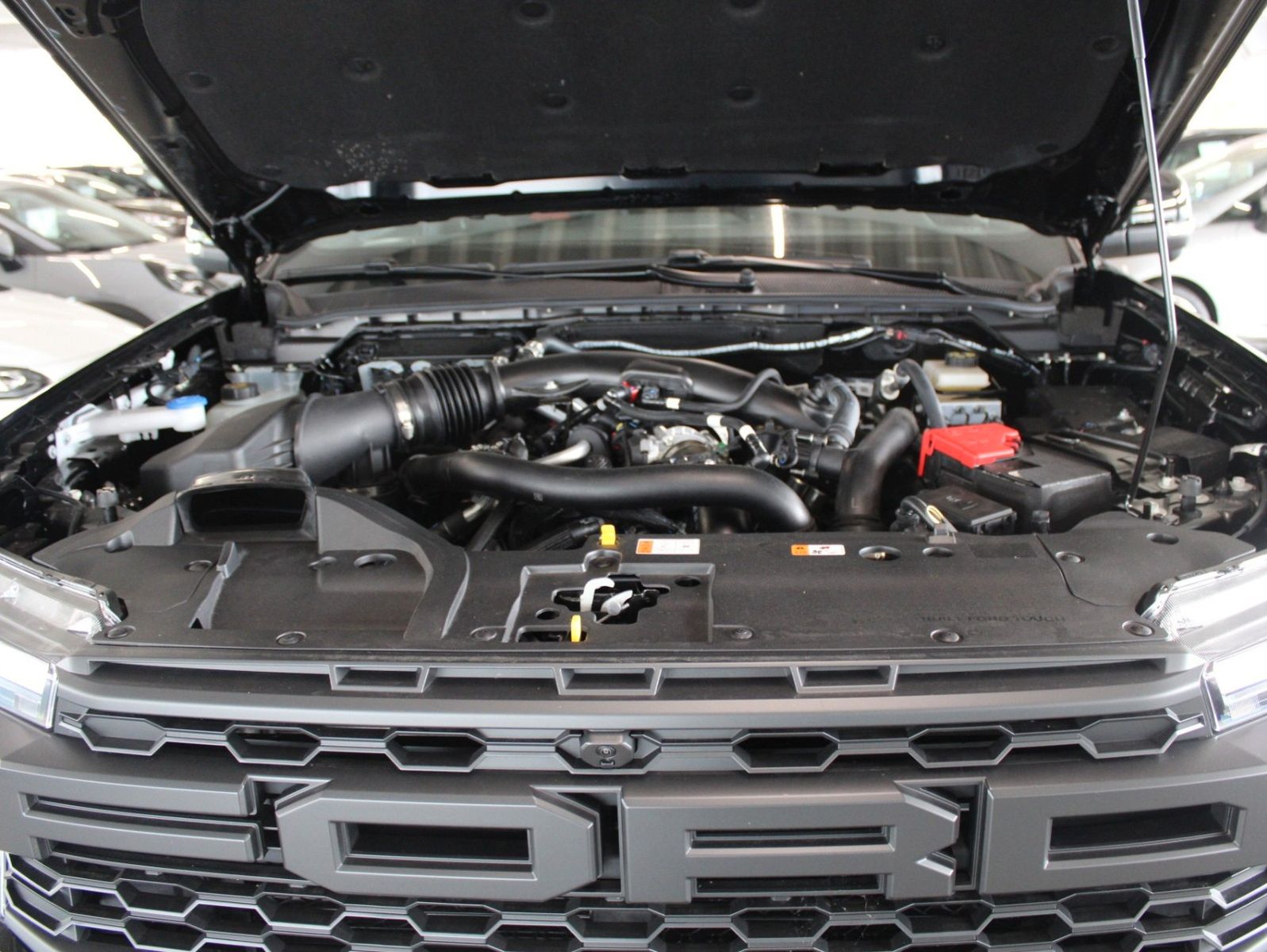 Fahrzeugabbildung Ford Raptor 3.0 EB DoKa AHK RAPTOR PAKET ACC 360°CAM