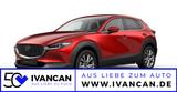 Mazda CX-30 2.0 X 186PS Takumi BLOP - Mazda CX-30 mit Hybrid-Antrieb: Takumi