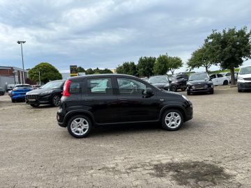 Bild 6 Fiat Panda Base 1.0 Mild Hybrid DAB Klima Freisprech