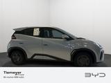 BYD DOLPHIN SURF Active - BYD Gebrauchtwagen in Berlin