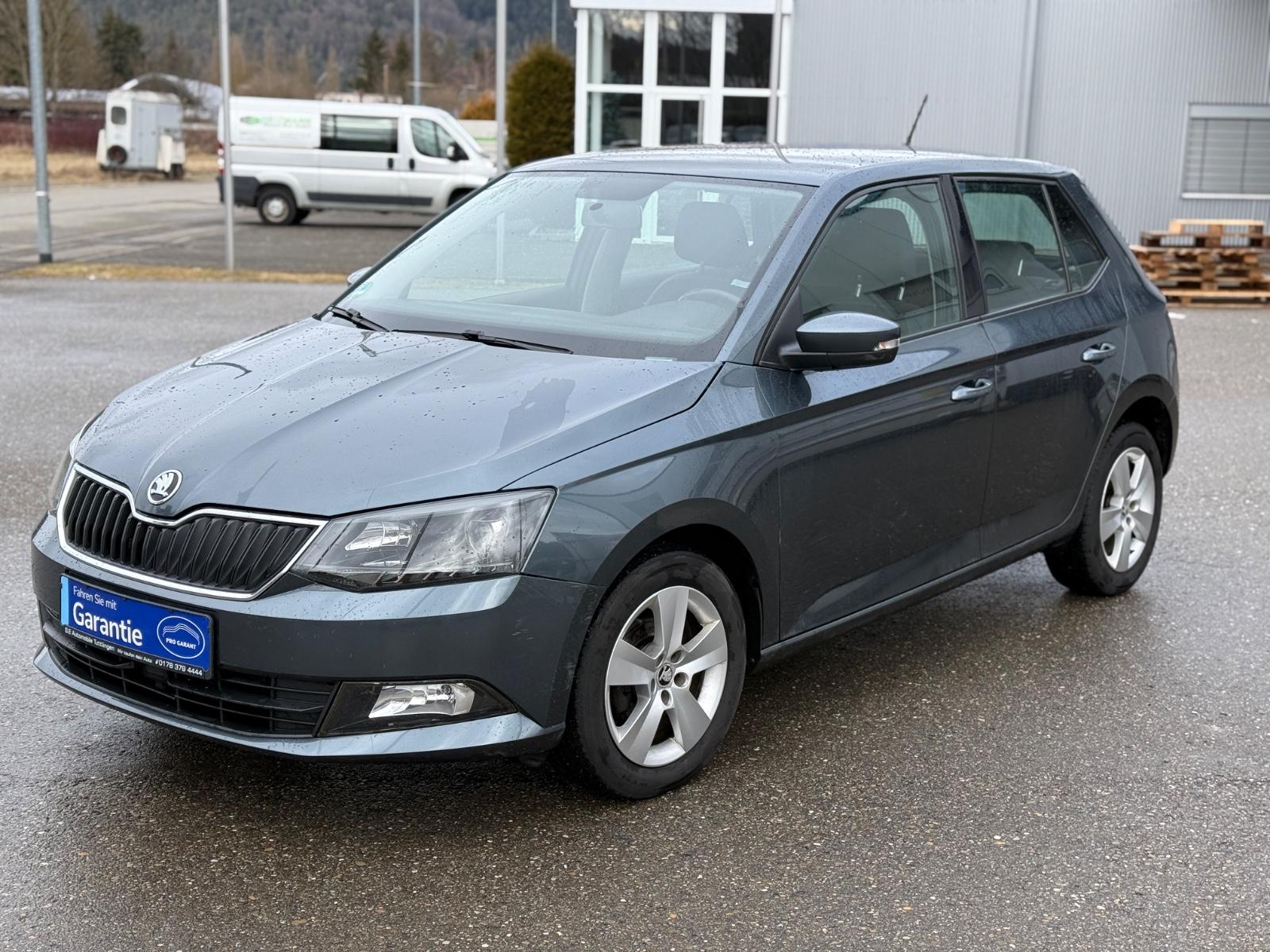 Skoda Fabia*SHZ*PDC*NAVI*SERVICE NEU*