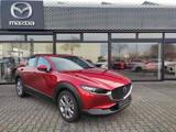 Mazda CX-30 2.0L e-SKYACTIV G 150PS Exclusive-Line - Mazda CX-30 Exclusive-Line mit Hybrid-Antrieb (Benzin/Elektro)