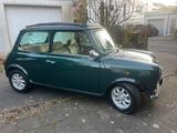 MINI 1300