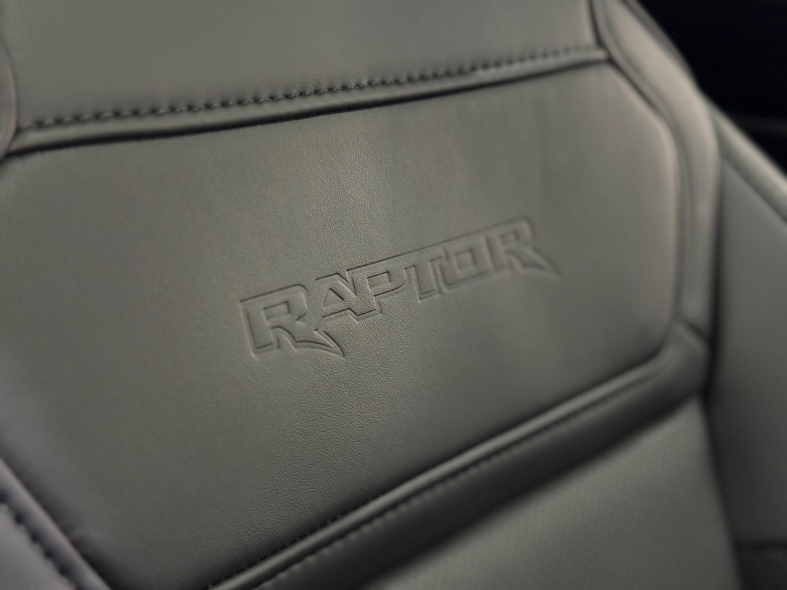 Fahrzeugabbildung Ford F-150 RAPTOR  EcoBoost®  3.5L V6 *MY26*