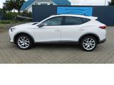 Cupra Formentor Cupra 1.5 TSI BMT Klima LED Alu - gebrauchte Cupra Sportwagen