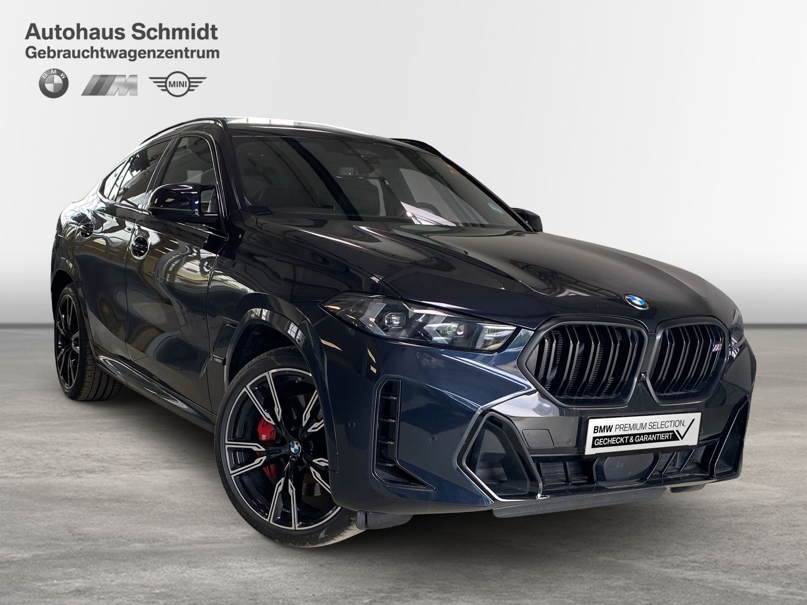 BMW X6 M60 - Bild 6