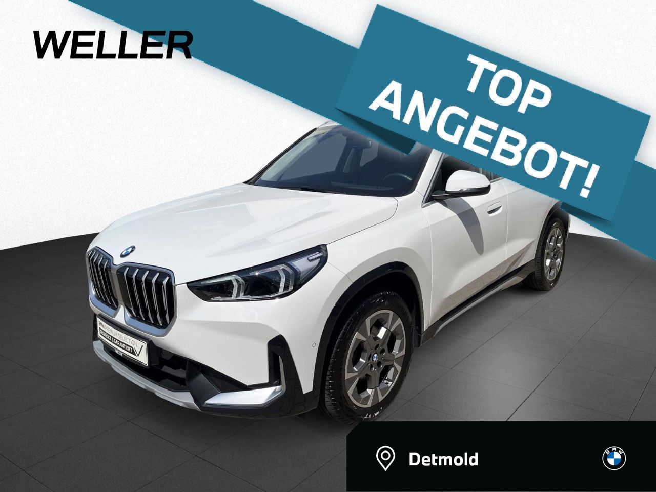 BMW X1 xDriv 20d xLine 489,-/0Anz H/K RFK DA+AHK 18"