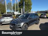 Skoda Karoq Ambition 1.5 TSI DSG Kamera/PDC/LED/Sitzh.
