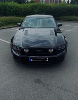 Ford Mustang GT 5.0 V8 | Schalter | US-Import |  - Ford Mustang: For