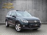 Volkswagen Tiguan/Sport/Pano/Dynaudio/4Motion - mit Diesel-Antrieb: Grün, Schiebedach