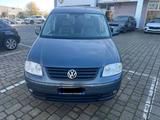Volkswagen Caddy 2.0 Ecofuel 4p. Life Tramper - Volkswagen Caddy: Tramper