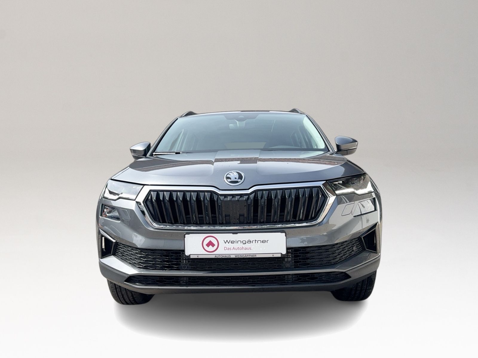 Karoq 1.5 TSI Tour, Matrix LED, Winter Plus, AHK