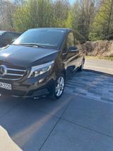 Mercedes-Benz V-Klasse Extr.-Lang Version Allrad  - Mercedes-Benz V 250 in Bochum