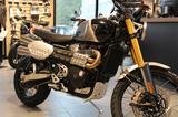 Triumph Scrambler 1200 XE *MY 2026*Öhlins* - TRIUMPH SCRAMBLER