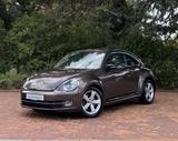 Volkswagen Beetle Sport|TFL|Shzg|PDC|Touch|AUX/USB! - Volkswagen Beetle: Sport