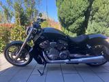 Harley-Davidson V-Rod Muscle 2009  - HARLEY-DAVIDSON V ROD MUSCLE