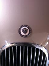 Jaguar XK 120 OTS - Jaguar XK: Ots