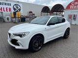 Alfa Romeo Stelvio 2.9 V6 Bi-T. Quadrifoglio ohne OPF - Alfa Romeo: V6