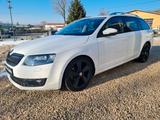 Skoda Octavia Combi Elegance - Skoda Octavia: Winterreifen