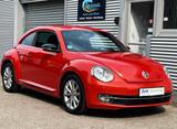 Volkswagen Beetle Club 2.0TDI BMT KLIMA  NAVI SITZHEIZ. PDC - Volkswagen Beetle: TDI