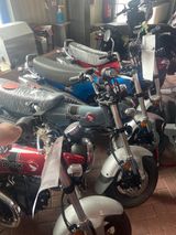 Honda DAX ST125 PFINGSTAKTION -1201EUR gespart - DAX