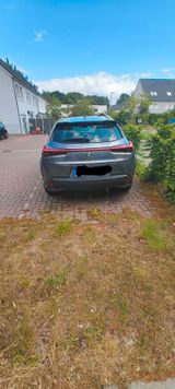 Lexus UX 250 h Executive Line  - Lexus UX Gebrauchtwagen