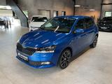 Skoda Fabia 1.0 TSI Soleil ACC LED Navi Sitzh. 17" - Skoda Gebrauchtwagen in Erlangen