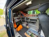 Volkswagen VW "Hundecamper" mit Austauschmotor - Angebote