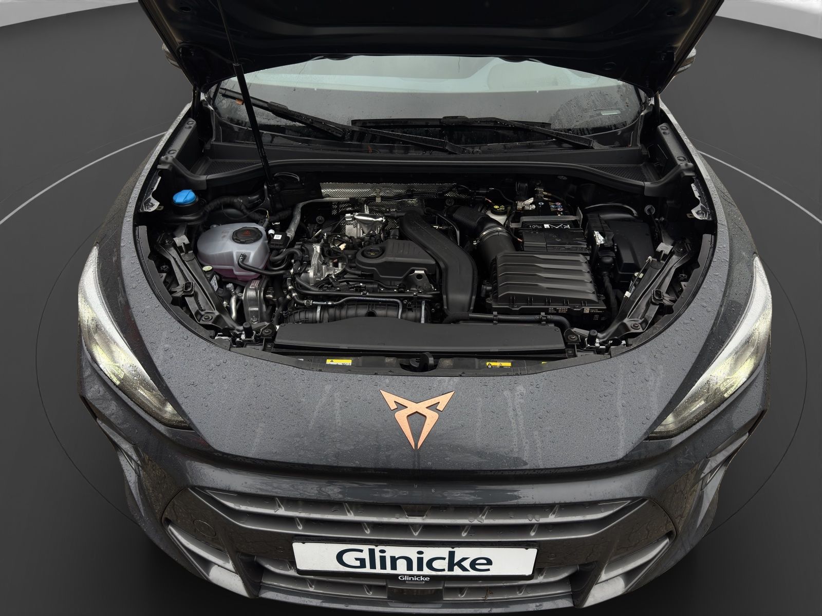 Cupra Terramar - Bild 18