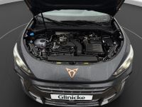 Cupra Terramar - Vorschau Bild 18