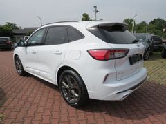 FORD Kuga Hybrid ST-Line Bild 4