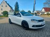 Volkswagen Eos Basis - Volkswagen Eos: Weiß