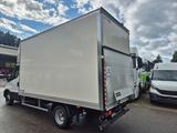 Iveco 35C16H KOFFER-LBW 750KG MY25 - Iveco Fahrgestell