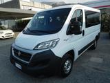 Fiat Ducato 30 2.3 MJT 150CV PC-TC Panorama - Fiat Ducato: Panorama