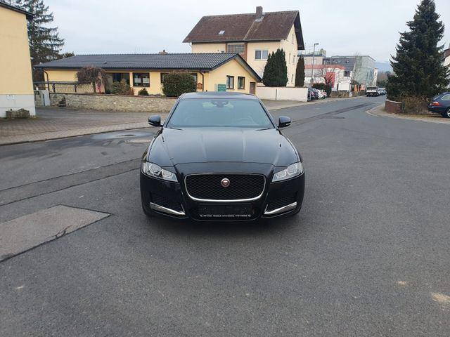 Jaguar XF Pure AWD