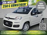Fiat Panda Pandina POP Hybrid #KLIMA #PARKSENSOREN - Fiat Panda POP mit Hybrid-Antrieb (Benzin/Elektro)