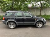 Ford Maverick - gebrauchte Ford Maverick aus dem Jahr 2003
