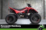 CFMOTO Cforce 110, Kinderquad, 45KM/H, sofort lieferbar - BENZIN QUAD KINDER