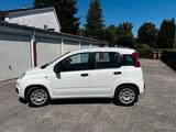 Fiat Panda - Fiat Panda Gebrauchtwagen in München