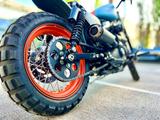 Harley-Davidson SCRAMBLER Sportster - SCRAMBLER
