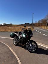 Triumph Tiger 955i - Offers matching your search criteria