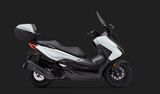 Honda NSS 125 Forza 25*mieten oder probefahren* - Offers matching your search criteria