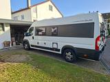 Roller Team Livingstone DUO Advance - Roller Team Kastenwagen