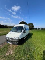 Fiat Ducato Ducato 244L - umgebauter Camper - Fiat Ducato aus 2005