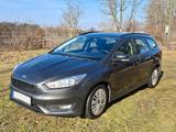 Ford Focus 1,5TDCi 70kW S/S DPF Trend Turnier Trend - Ford Focus Gebrauchtwagen in Münster