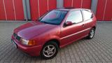 Volkswagen VW Polo 6N Trendline - Zurück in die 90er! - gebrauchte VW Polo aus dem Jahr 1996