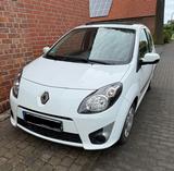 Renault Twingo Panoramadach - Renault Twingo: Panoramadach