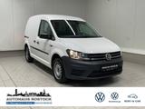 Volkswagen Caddy Kasten 1.0 TSI KLIMA BLUETOOTH - LKWs in Rostock