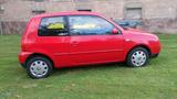 Volkswagen VW Lupo, 2003, 1,0 MPI, 50 PS, HU 5/26 - Volkswagen Lupo: Ps