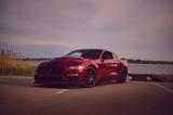 Ford Mustang 5.0 Ti-VCT V8 GT Auto GT